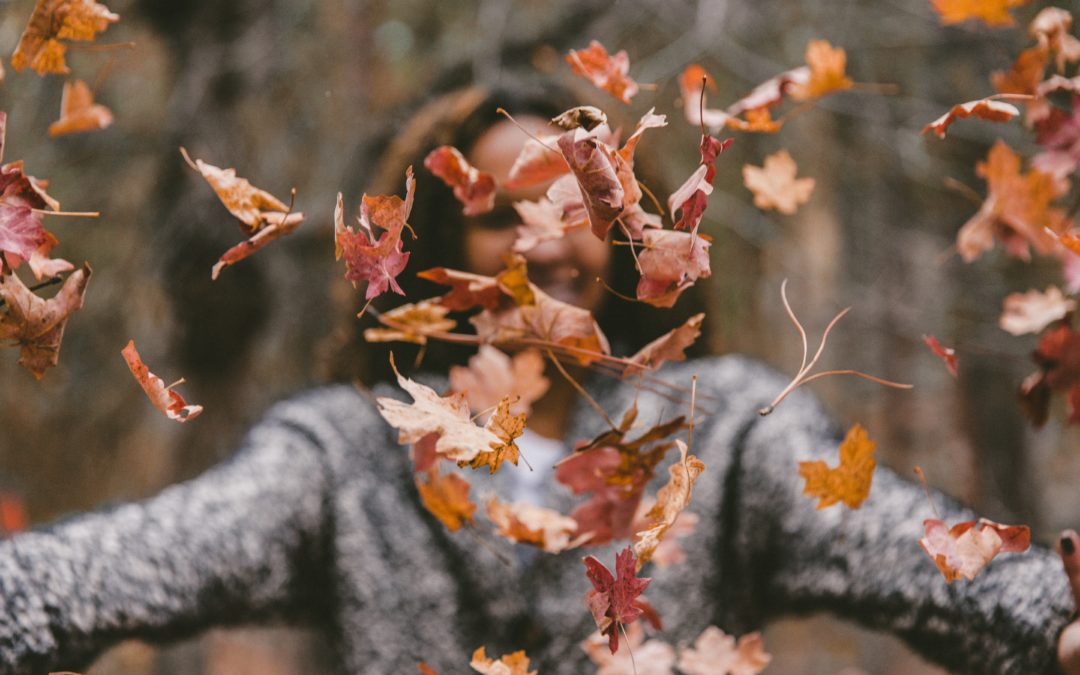 Hanfsamenöl …… Stimmungsmacher für düsteren Herbst
