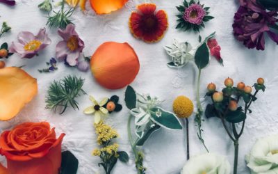 Konventionelle Kosmetik vs. Natur-und Biokosmetik